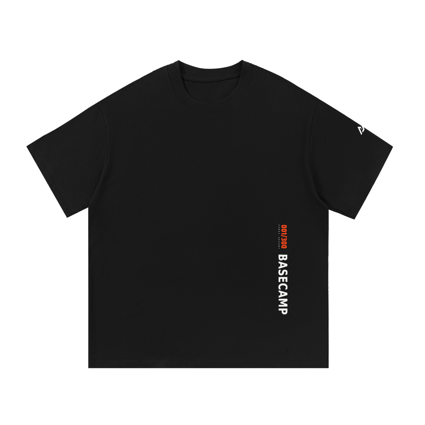 300 Heavyweight Tee — Numbered Edition